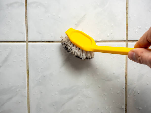 Best Emergency Mold Removal  in Knightdale, NC
