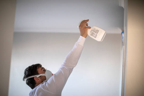 Best Local Mold Removal Service  in Knightdale, NC