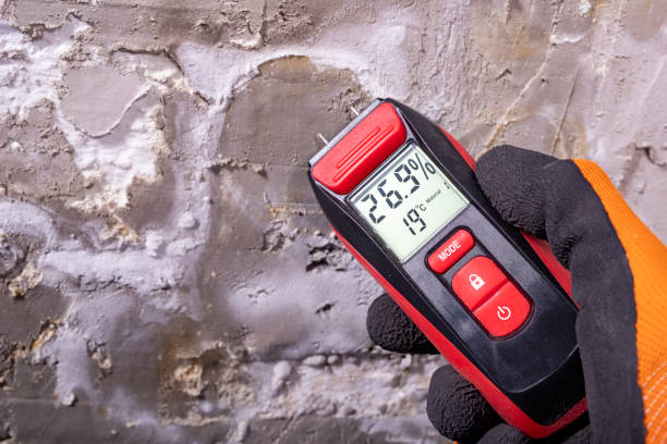 Best Fast Mold Removal  in Knightdale, NC