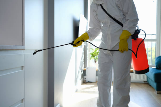 Best Toxic Mold Removal  in Knightdale, NC