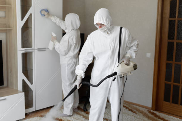 Best Mold Damage Repair  in Knightdale, NC