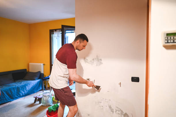 Best Mold Testing  in Knightdale, NC