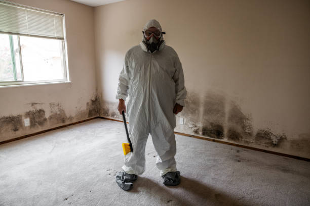 Best Mold Testing  in Knightdale, NC